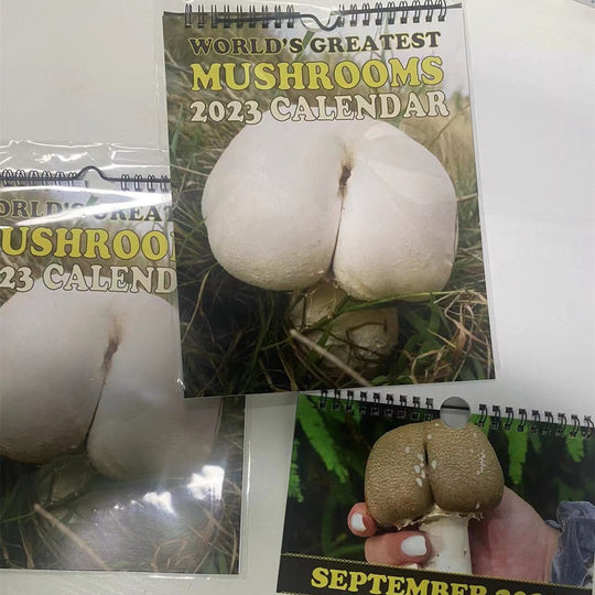 2024 New Cross - border Calendar Great Mushroom Calendar - Unique