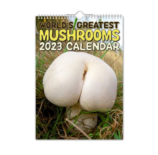 2024 New Cross - border Calendar Great Mushroom Calendar - Unique