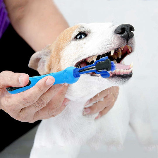 1 random color toothbrush pet plush dog brush in addition to bad breath tartar dental care dog cat cleaning supplies - Unique