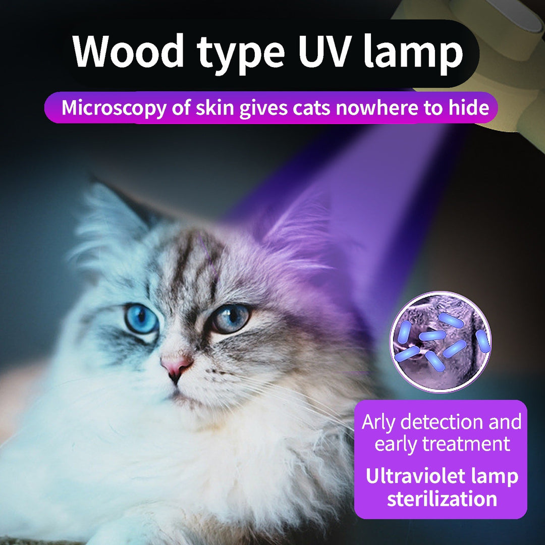 Pet Germicidal Sterilizing Comb Usb Rechargeable Cat Dog Automatic Hair Removal Brush Floating Beauty Comb Grooming Tool - Unique Unique Unique Pet Germicidal Sterilizing Comb Usb Rechargeable Cat Dog Automatic Hair Removal Brush Floating Beauty Comb Grooming Tool