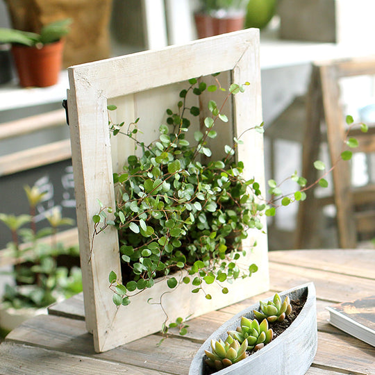 Wall-mounted flower frame