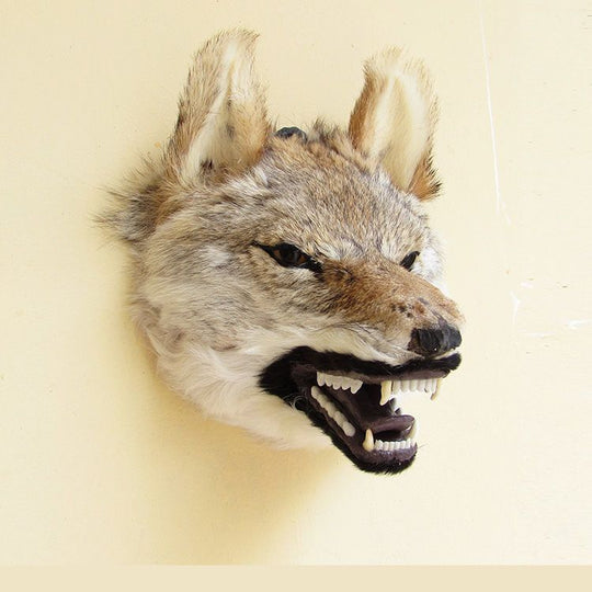 Leather Simulation Animal Head Animal Model Wall Hangings - Unique