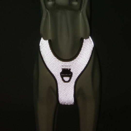 Pet Products Tank Top Explosion - proof Reflector - Unique